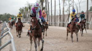 Đua Ngựa MIG8 – Đam Mê Cược Thủ Không Thể Bỏ Lỡ